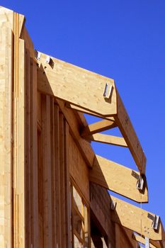 Natural wood construction of a house or a trade for a green energy isolation