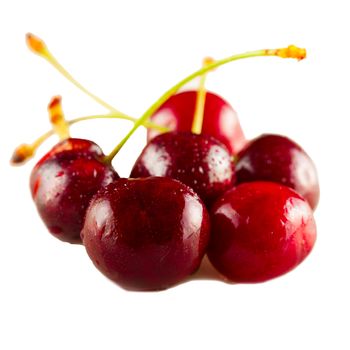 Red Cherries isolated over a white background