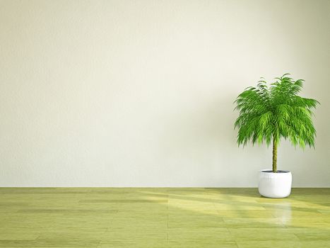 A  green plant near the plastered wall
