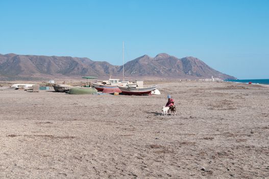 Small girl playing with dog on the beach