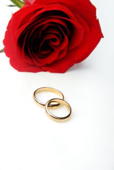 Romantic gift of red rose and engagement rings