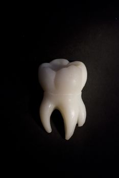 White tooth on a black background