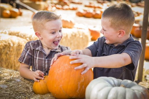 Two Boys at the Pumpkin Patch Talking About Their Pumpkins and Having Fun on a Fall Day.
