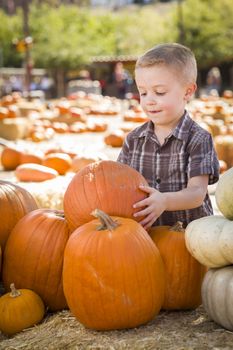 Adorable Little Boy Gathering His Pumpkins at a Pumpkin Patch on a Fall Day.
