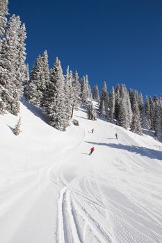 Winter in the swiss alps, Switzerland