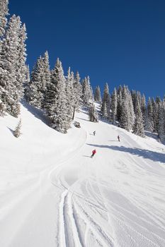 Winter in the swiss alps, Switzerland