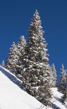 Typical swiss winter season landscape. March 2013, Switzerland.