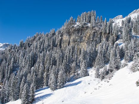 Winter in the swiss alps (Braunwald, Switzerland)