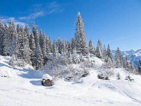 Winter in the swiss alps (Braunwald, Switzerland)