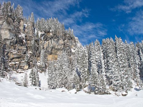 Typical swiss winter season landscape. January 2011, Switzerland.