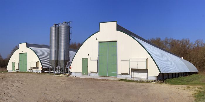 panoramic photo of a barn with grain silos for breeding hens and chickens
