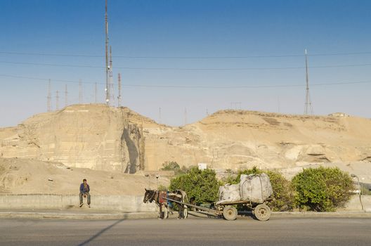 cairo outskirts road in egypt with man and horse cart