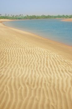 Sand beach with palms near the sea