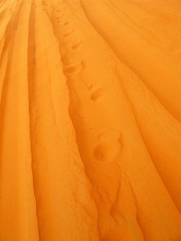 Red sand "Arabian desert" near Riyadh, Saudi Arabia