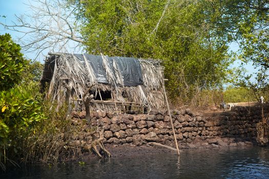 Old fishing shack in tropical shrubs at the river. Goa, India. Horizontal photo