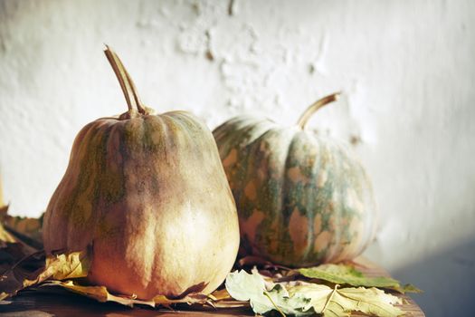 Pumpkins for Halloween with autumn leaves. Horizontal photo