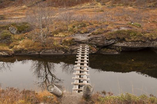 A dangerous bridge of logs