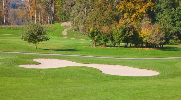 green grass of the golf course surrounded by autumnal forest