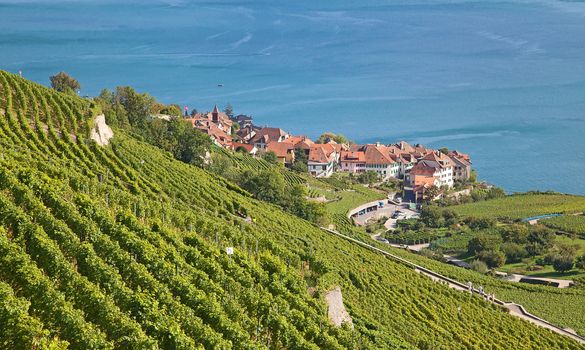 Vineyards of the Lavaux region over lake Leman (lake of Geneva)