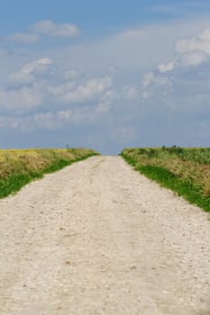 white road between two agricultural fields