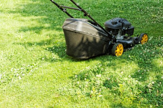 Black lawnmower in the garden lawn the grass with fuel engine