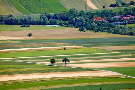 Aerial view of agricultural fields