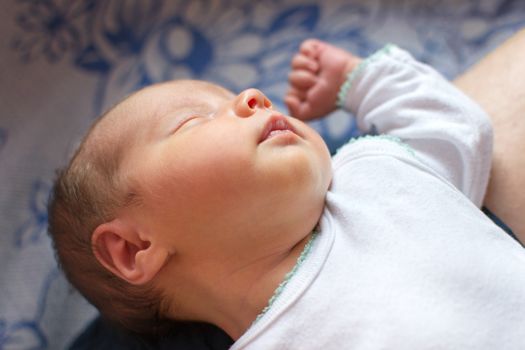 Newborn baby (2 weeks old) sleeping on parent's knees