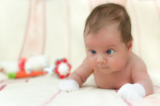 Infant baby (1 month old) lying on tummy. Shallow depth of field