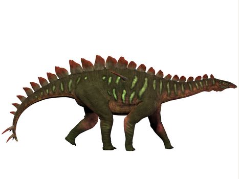 Miragaia is a genus of stegosaurid dinosaur that lived in the Upper Jurassic Era.