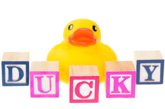 Baby blocks spelling ducky with a rubber duck. Isolated on a white background