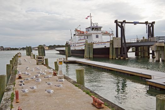 OCRACOKE, NORTH CAROLINA - FEBRUARY 28: The Sound Class ferry Cedar Island waiting to load on Ocracoke Island, February 28, 2013. Ferries provide the only connection between Ocracoke and the mainland.