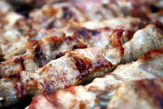 Closeup of some grilled slices of meat