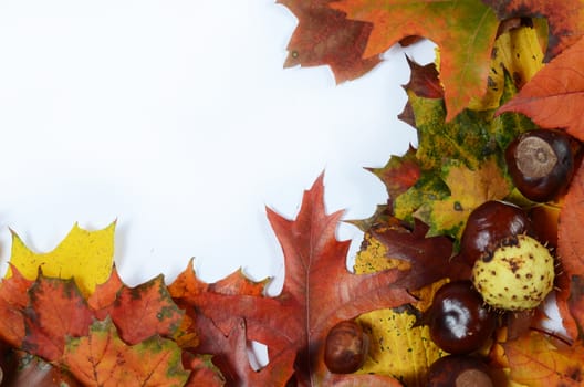 autumn leaves and chestnuts with scpae for your text