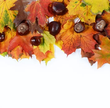 autumn leaves and chesnuts with scpae for your text