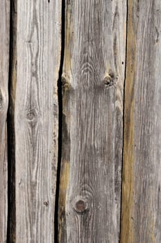 wood
