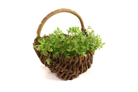 garden cress in a basket on light background