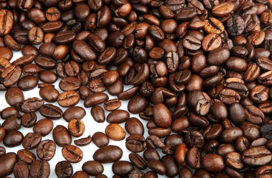 Coffee Beans