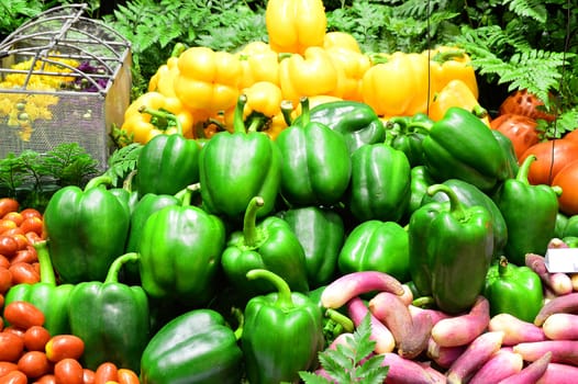 Ripe Yellow, Red and Green Peppers in Vegetables Market, Chiangmai Thailand