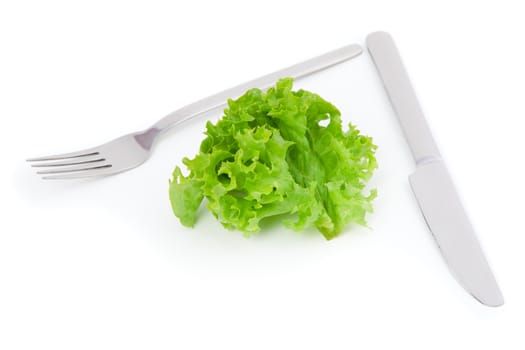 green leaves lettuce with knife and fork on a white background