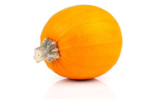 mini pumpkin isolated on white background