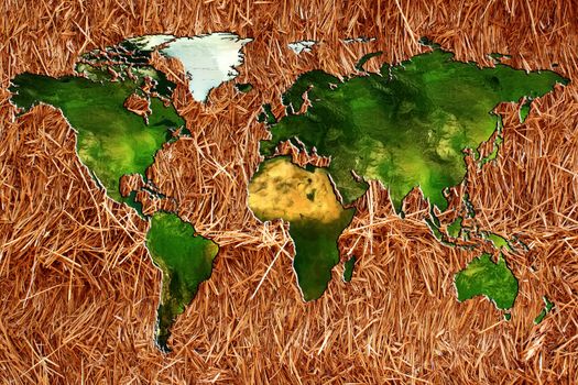 a planisphere or chart of the world on a bottom of straw or hay for an organic farming