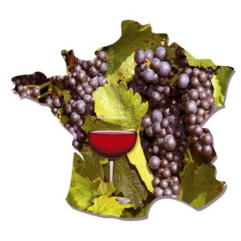 grapes and vines with a glass of red wine map of France during harvest