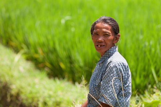 UBUD, BALI - SEP 22: Female worker takes a rest near green rice field at Ubud, Bali, Indonesia on Sep 22, 2012. 