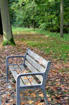 A landscape during autumn in Antwerp.