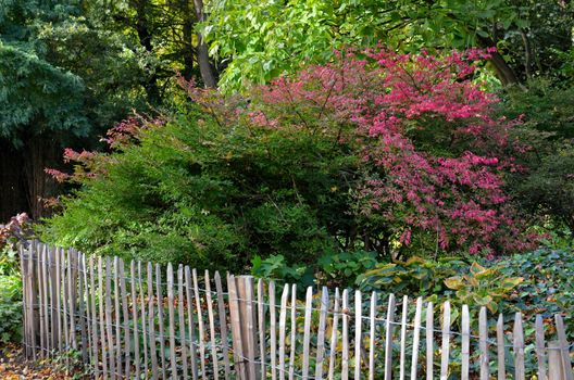 Autumn at a park in Antwerp.