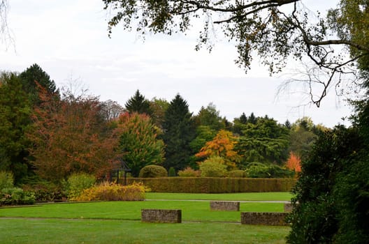 A landscape with vegetation in october in Antwerp.