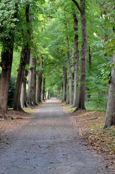 A path in a park in Antwerp.