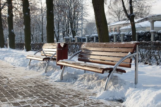 winter park with bench and cleared walkway