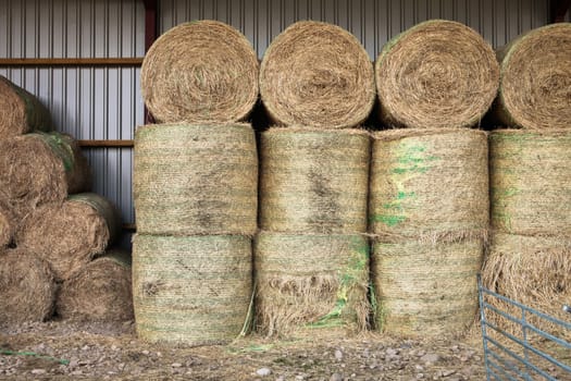 Stacked hay bales in a modern barn