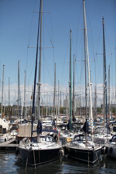 yachts in the harbor. Marina the big city